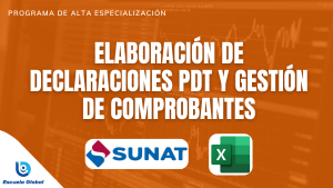 INCYF0325 | ELABORACIÓN DE DECLARACIONES PDT Y GESTIÓN DE COMPROBANTES ...